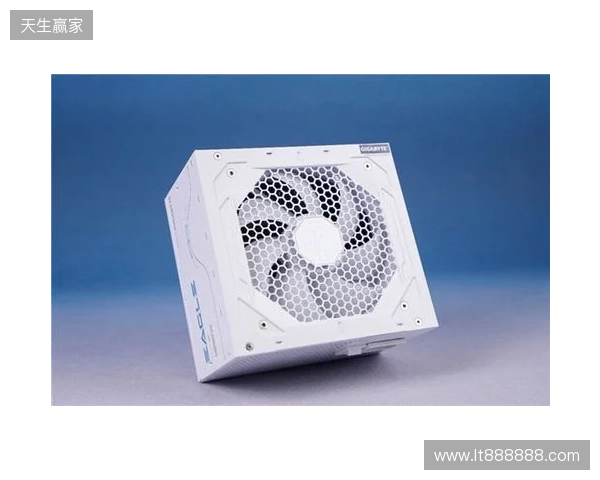 黑白双鹰，白金降临：技嘉猎鹰 冰猎鹰白金电源4月27日开售